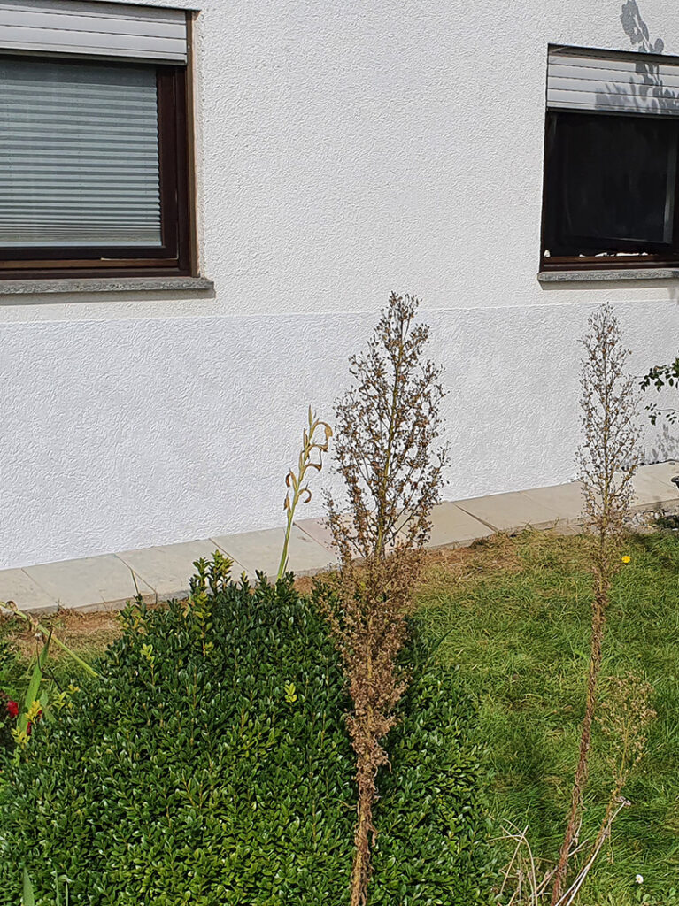 kewabo® gmbh freiburg referenzen